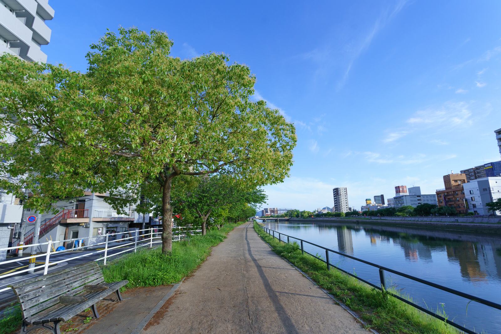 川沿いの遊歩道とベンチ