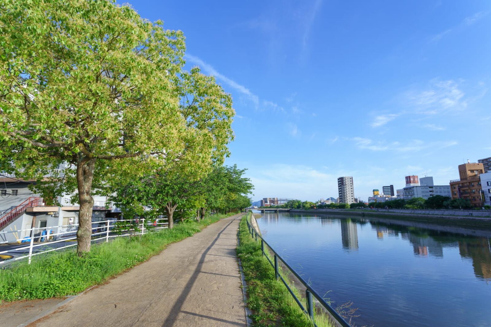 川沿いの遊歩道